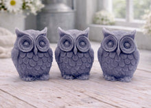 Load image into Gallery viewer, A gift set featuring three handmade vegan soaps shaped like barn owls , arranged in a row on a light wooden surface with white flowers in the background