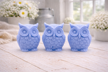 Load image into Gallery viewer, A gift set featuring three handmade vegan soaps shaped like barn owls , arranged in a row on a light wooden surface with white flowers in the background
