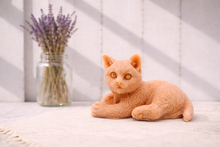 Load image into Gallery viewer, Handmade vegan soaps featuring a lazy cat, in beautiful eco friendly packaging.