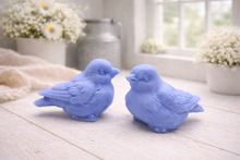 Load image into Gallery viewer, A handmade vegan soap gift set featuring two soaps sculpted into round, feathered birds facing each other, presented in a brown kraft box tied with a red raffia ribbon and decorated with a small bee and ladybird.
