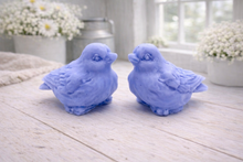Load image into Gallery viewer, A handmade vegan soap gift set featuring two soaps sculpted into round, feathered birds facing each other, presented in a brown kraft box tied with a red raffia ribbon and decorated with a small bee and ladybird.