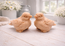 Load image into Gallery viewer, A handmade vegan soap gift set featuring two soaps sculpted into round, feathered birds facing each other, presented in a brown kraft box tied with a red raffia ribbon and decorated with a small bee and ladybird.