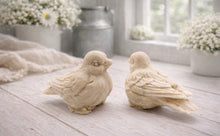 Load image into Gallery viewer, A handmade vegan soap gift set featuring two soaps sculpted into round, feathered birds facing each other, presented in a brown kraft box tied with a red raffia ribbon and decorated with a small bee and ladybird.