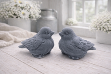 Load image into Gallery viewer, A handmade vegan soap gift set featuring two soaps sculpted into round, feathered birds facing each other, presented in a brown kraft box tied with a red raffia ribbon and decorated with a small bee and ladybird.