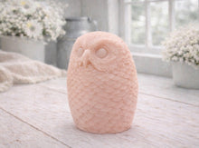 Load image into Gallery viewer, A detailed large handmade vegan soap gift in the shape of an owl with intricate feather textures, displayed on a light wooden table with white flowers in the background.