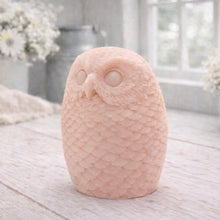 Load image into Gallery viewer, A detailed large handmade vegan soap gift in the shape of an owl with intricate feather textures, displayed on a light wooden table with white flowers in the background.