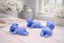 Load image into Gallery viewer, Three cute laughing pig-shaped vegan soap gift set on a wooden surface with flowers in the background