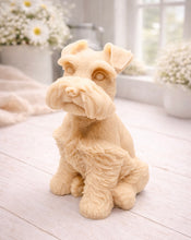 Load image into Gallery viewer, A detailed handmade vegan soap sculpted in the shape of a sitting Schnauzer dog with characteristic fluffy eyebrows and beard, in a natural colour, set against a bright window and white flowers. By soap Simple creations