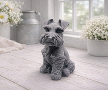 Load image into Gallery viewer, A detailed handmade vegan soap sculpted in the shape of a sitting Schnauzer dog with characteristic fluffy eyebrows and beard, in a natural colour, set against a bright window and white flowers. By soap Simple creations