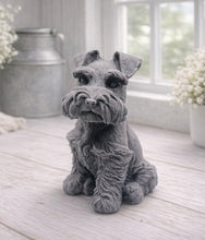 Load image into Gallery viewer, A detailed handmade vegan soap sculpted in the shape of a sitting Schnauzer dog with characteristic fluffy eyebrows and beard, in a natural colour, set against a bright window and white flowers. By soap Simple creations