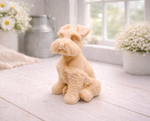 Load image into Gallery viewer, A detailed handmade vegan soap sculpted in the shape of a sitting Schnauzer dog with characteristic fluffy eyebrows and beard, in a natural colour, set against a bright window and white flowers. By soap Simple creations