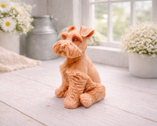 Load image into Gallery viewer, A detailed handmade vegan soap sculpted in the shape of a sitting Schnauzer dog with characteristic fluffy eyebrows and beard, in a natural colour, set against a bright window and white flowers. By soap Simple creations