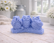 Load image into Gallery viewer, A handmade vegan soap gift featuring three owls perched on a branch in the "See No Evil, Hear No Evil, Speak No Evil" poses, set against a bright window with white flowers.