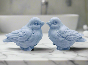 Love bird Gift | Unique bird Gift | avery Gift | wild Animal Gift | spiritual gift | unique gift, animal gift | Birthday gift, Christmas gift, Stocking filler, Secret Santa gift, Teacher gift, Thank you gift, New baby gift, Baby shower gift, Housewarming gift, Easter gift, Valentine’s Day gift, Mother’s Day gift, Father’s Day gift, Wedding gift, Bridesmaid gift, Groomsman gift, Anniversary gift, Engagement gift, Thinking of you gift, Get well soon gift, Just because gift, Friendship