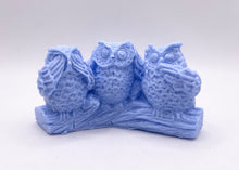 Load image into Gallery viewer, owl Gift | owl lover gift | owl soap gift | bird lover gift, animal lover gift, Stocking filler, Secret Santa gift, Teacher gift, Thank you, New baby gift, Housewarming gift, Easter gift, Valentine’s Day gift, Mother’s Day gift, Father’s Day gift, Wedding gift, personalised gift, Anniversary gift, Thinking of you gift, Get well soon gift, Just because gift, Friendship gift, Graduation gift, Retirement gift, Congratulations gift, New home gift, Self-care gift, Spa gift, Eco-friendly gift
