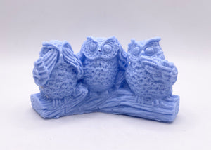 owl Gift | owl lover gift | owl soap gift | bird lover gift, animal lover gift, Stocking filler, Secret Santa gift, Teacher gift, Thank you, New baby gift, Housewarming gift, Easter gift, Valentine’s Day gift, Mother’s Day gift, Father’s Day gift, Wedding gift, personalised gift, Anniversary gift, Thinking of you gift, Get well soon gift, Just because gift, Friendship gift, Graduation gift, Retirement gift, Congratulations gift, New home gift, Self-care gift, Spa gift, Eco-friendly gift
