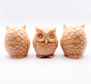Barn Owls Vegan Soaps - Set of 3 - Gift Boxed | Owl Gift | Teacher Gift | Thank You Gift | Cute Owl Gift