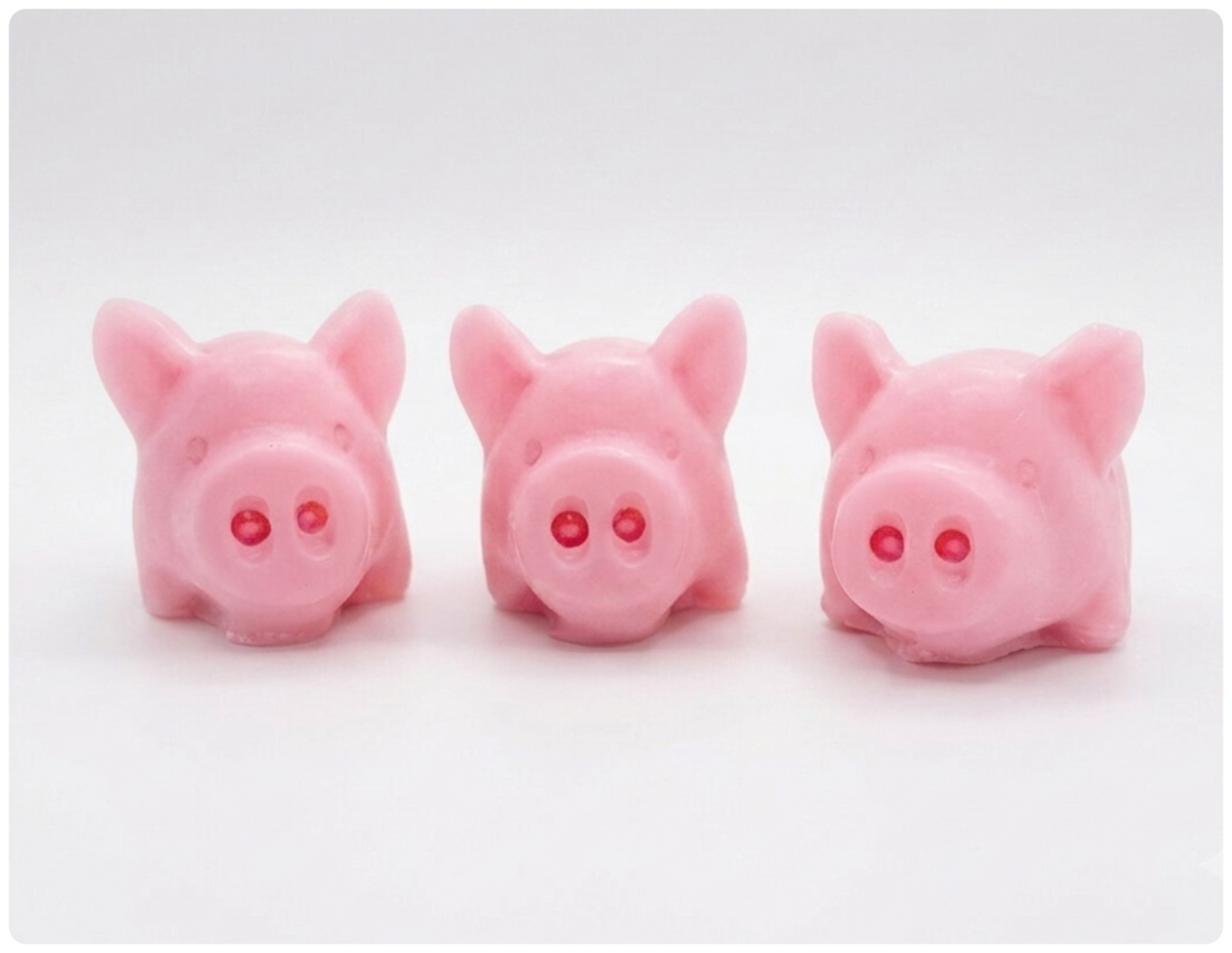 Chunky Pigs Soap Gift Set
