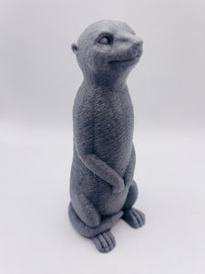 Meerkat 120g