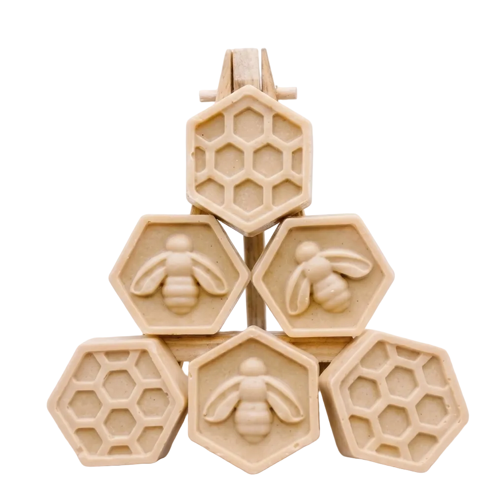 Bee & Honeycomb Soap Gift Set