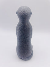 Load image into Gallery viewer, Meerkat 120g
