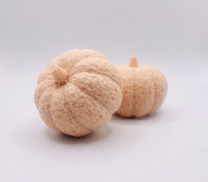 Pumpkin Gift | Pumpkin  Lover Gift | Halloween Gift | Autumn Gift Idea | Pumpkin Gift Idea | Boo Box Gift | Pumpkin Decorations | Halloween Party | Halloween Decorations | Halloween Party Favours | Spooky Season | Pumpkins | Pumpkin Art 