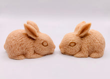 Load image into Gallery viewer, Bunny Rabbit Soaps 80g - Set of 2 - Gift Boxed
