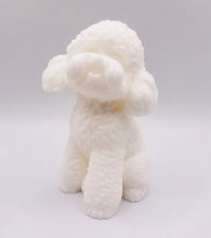 Load image into Gallery viewer, Cockapoo Gift | Cute Cockapoo | Cockapoo lover Gift | gift | unique dog Gift | pet Gift | dog Gift | 
Birthday gift, Christmas gift, Personalised Gift,  Stocking filler, Secret Santa gift, Teacher gift, Thank you gift, rodent gift, Baby shower gift, Housewarming gift, Easter gift, Valentine’s Day gift, Mother’s Day gift, Father’s Day gift, Wedding gift, Bridesmaid gift, Groomsman gift, Anniversary gift, Engagement gift, Thinking of you gift, Get well soon gift, Just because gift, Friendship gift, 
