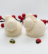 Load image into Gallery viewer, Spring Lambs 120g - Set of 2 - Gift Boxed
