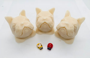 Frenchie Soaps 120g - Set of 3 - Gift Boxed