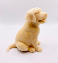 Load image into Gallery viewer, Labrador Gift This gorgeous soap captures the charm of the loyal Labrador, making bath time a delightful experience. Vegan, cruelty-free, and wrapped in eco-friendly packaging, it&#39;s a celebration of nature&#39;s goodness and our love for our furry friends! This beautiful Labrador soap is available to purchase in your choice of colour and essential oil. This soap is available to purchase in your choice of colour and essential oil.

All soaps are made with natclays and essential oils to gently cleanse and noki
