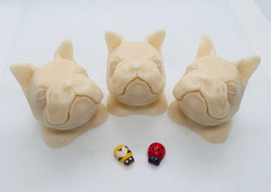 Frenchie Soaps 120g - Set of 3 - Gift Boxed