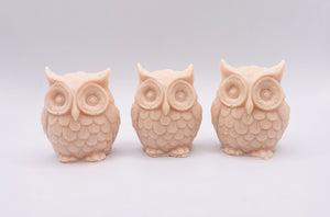 Owl Gift | cute owl gift | woodland Gift | owl party favours | animal gift 
Birthday gift, Christmas gift, Personalised Gift,  Stocking filler, Secret Santa gift, Teacher gift, Thank you gift, rodent gift, Baby shower gift, Housewarming gift, Easter gift, Valentine’s Day gift, Mother’s Day gift, Father’s Day gift, Wedding gift, Bridesmaid gift, Groomsman gift, Anniversary gift, Engagement gift, Thinking of you gift, Get well soon gift, Just because gift, Friendship gift, Graduation gift, Retirement
