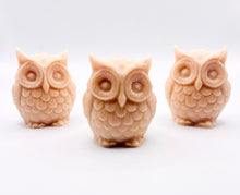 Load image into Gallery viewer, Barn Owls Vegan Soaps - Set of 3 - Gift Boxed | Owl Gift | Teacher Gift | Thank You Gift | Cute Owl Gift
