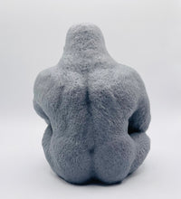 Load image into Gallery viewer, Gorilla Soap 500g - Gift Boxed
