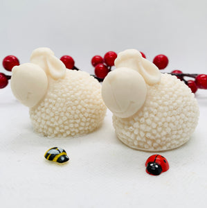 Spring Lambs 120g - Set of 2 - Gift Boxed