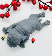 Load image into Gallery viewer, Sleepy Shar Pei Soap 150g

