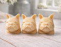 three french bulldog-head shaped bars of soap, side-by-side, on a wooden surface, set in a cozy, rustic bathroom with a vase of white and yellow flowers