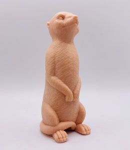 Meerkat 120g