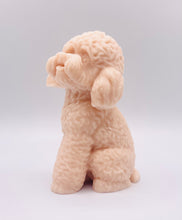 Load image into Gallery viewer, Handmade vegan soaps featuring a large detailed cockapoo dog wrapped in beautiful eco friendly packaging crafted with natural French clays, activated charcoal and essential oils. a eco-friendly, zero waste gift that’s cruelty-free, skin-nourishing, and perfect gift for cockapoo owners, dog lovers and animal themed gifts. small business UK
