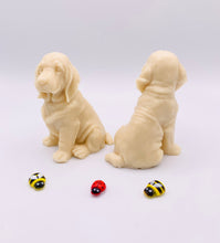 Load image into Gallery viewer, Golden Retriever- Set of 2 - Gift Boxed
