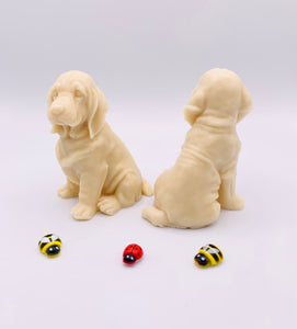 Golden Retriever- Set of 2 - Gift Boxed