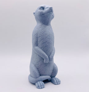 Meerkat 120g