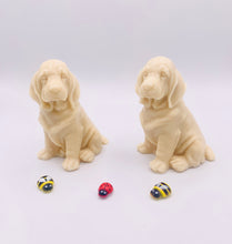 Load image into Gallery viewer, Golden Retriever- Set of 2 - Gift Boxed
