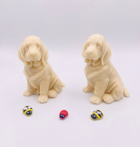 Golden Retriever- Set of 2 - Gift Boxed