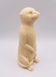 Meerkat 120g