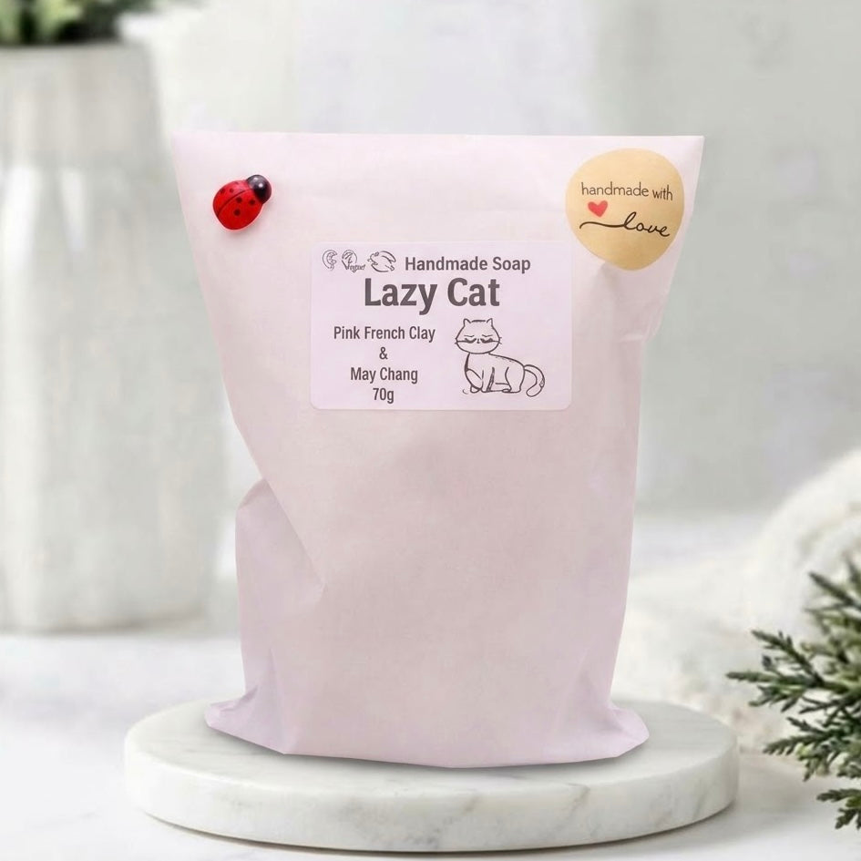 Packaged Lazy Cat handmade soap with a ladybug pin and heart sticke