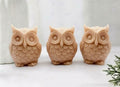 A gift set featuring three terracotta coloured handmade vegan soaps shaped like barn owls , arranged in a row on a light wooden surface with white flowers in the background 