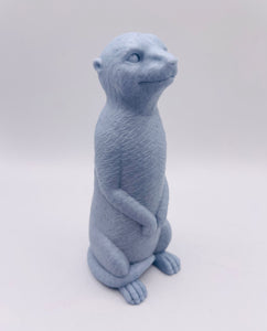 Meerkat 120g