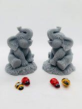 Load image into Gallery viewer, Baby Elephants 90g - Set of 2 - Gift Boxed
